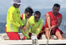 Capturan a cocodrilo de casi 4 metros en Puerto Vallarta
