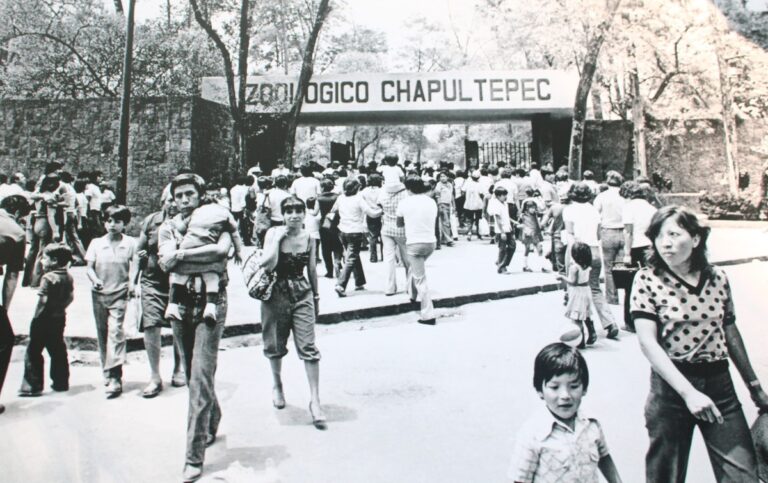Chapultepec celebra 102 años de conservación con talleres, música y entrada gratuita