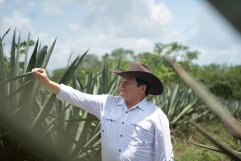 Destinan más de 3.8 mdp para el rescate de la actividad henequenera en Yucatán