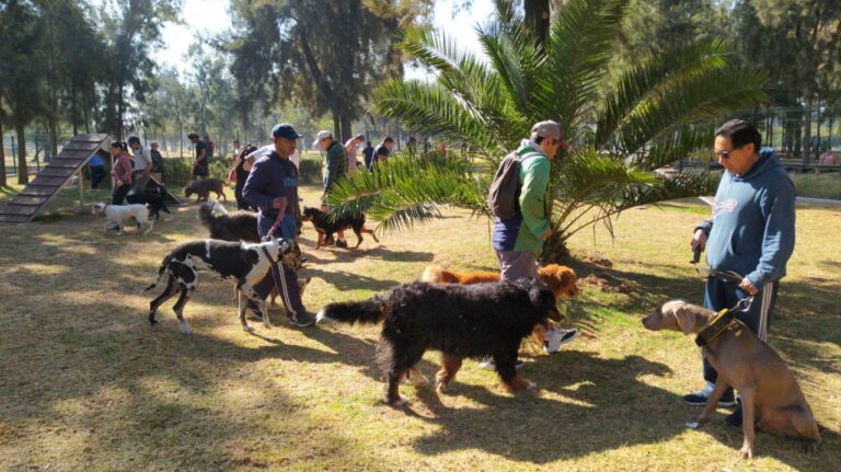 Disfruta con tu mascota en el festival canino más completo del verano capitalino