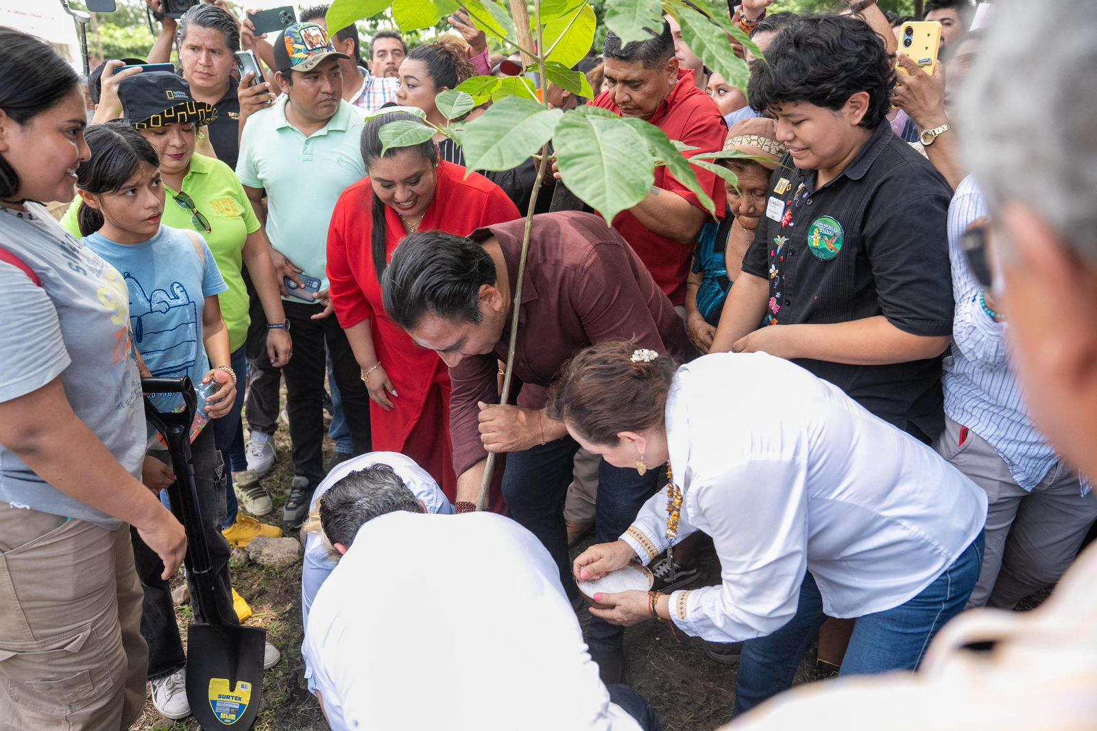 Eduardo Ramírez impulsa campaña de reforestación en Chiapas