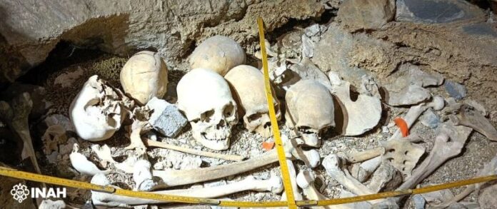 INAH rescata restos óseos de 500 años de antigüedad en Coahuila
