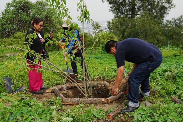 Inicia reforestación del Cerro de la Estrella con más de 16 mil plantas
