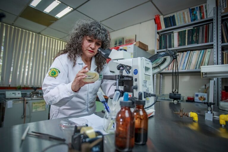 Plagas bajo vigilancia, el reto para una agricultura sostenible