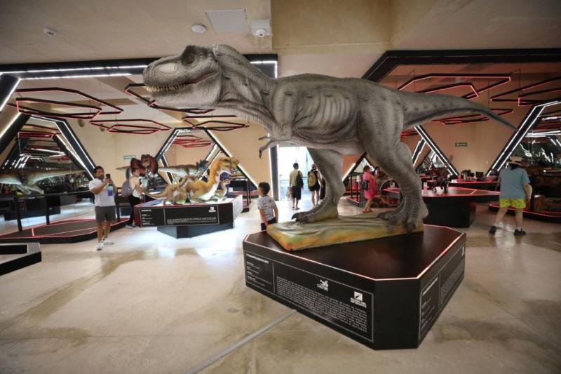Museo del Meteorito invita a celebrar su tercer aniversario