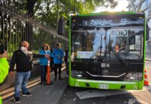 RTP otorgó viajes gratis a 7 millones de personas vulnerables en primer semestre de 2025