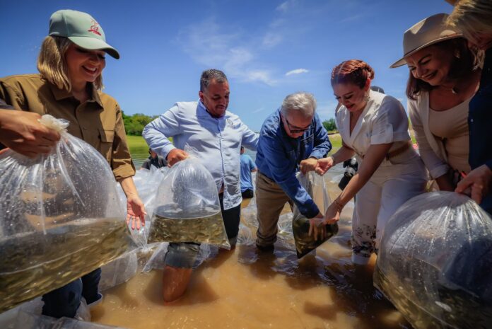 Rubén Rocha fortalece la pesca comercial y deportiva en Sinaloa