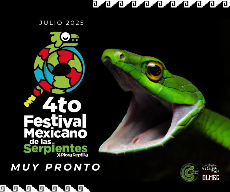 Llega el Festival de las Serpientes a la CDMX