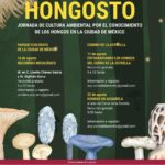 Hongosto 1