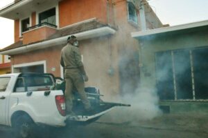 Yucatán logra una reducción del 43.6% en casos de dengue