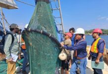 Profepa verifica dispositivos excluidores de tortugas marinas en Campeche