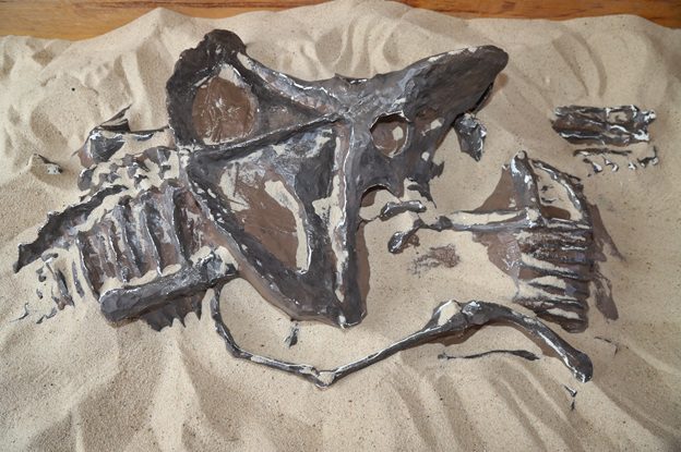 Dinoexcava, una aventura prehistórica en la CDMX