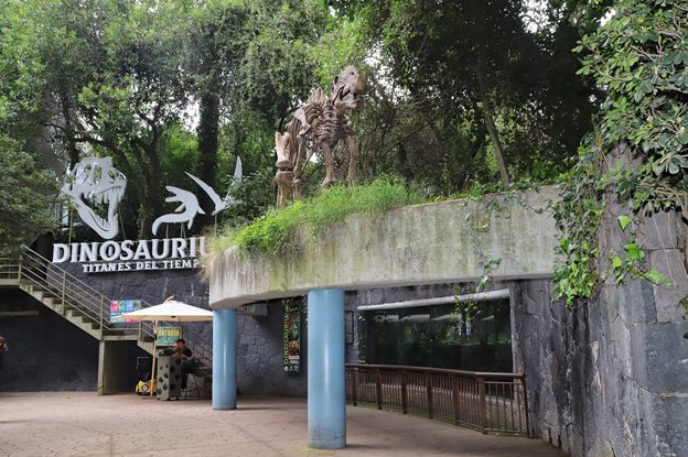 Dinoexcava, una aventura prehistórica en la CDMX
