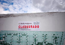 Profepa clausura proyecto inmobiliario en Mérida por daño ambiental