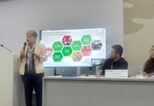 México presenta la NDC 3.0 en la COP30 y reconoce el papel decisivo de los estados en la agenda climática nacional