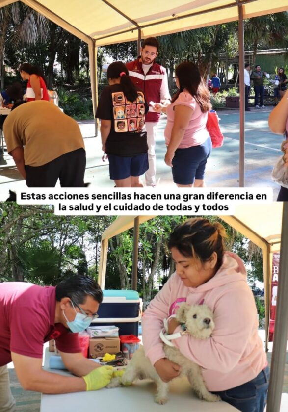 Óscar Rébora encabeza jornada de vacunación antirrábica en Cancún2